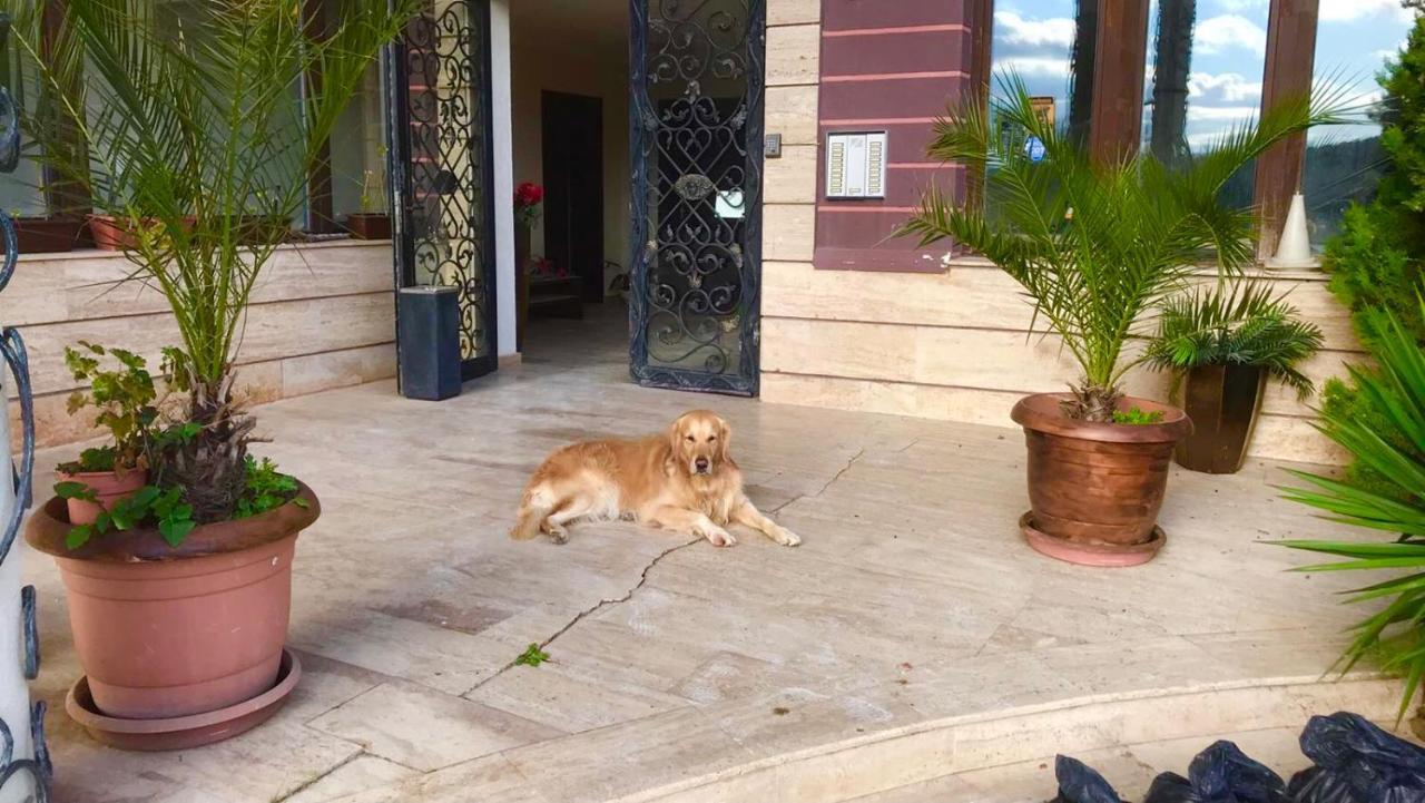 Апартаменти Велека Бийч Sinemoreț Exterior foto
